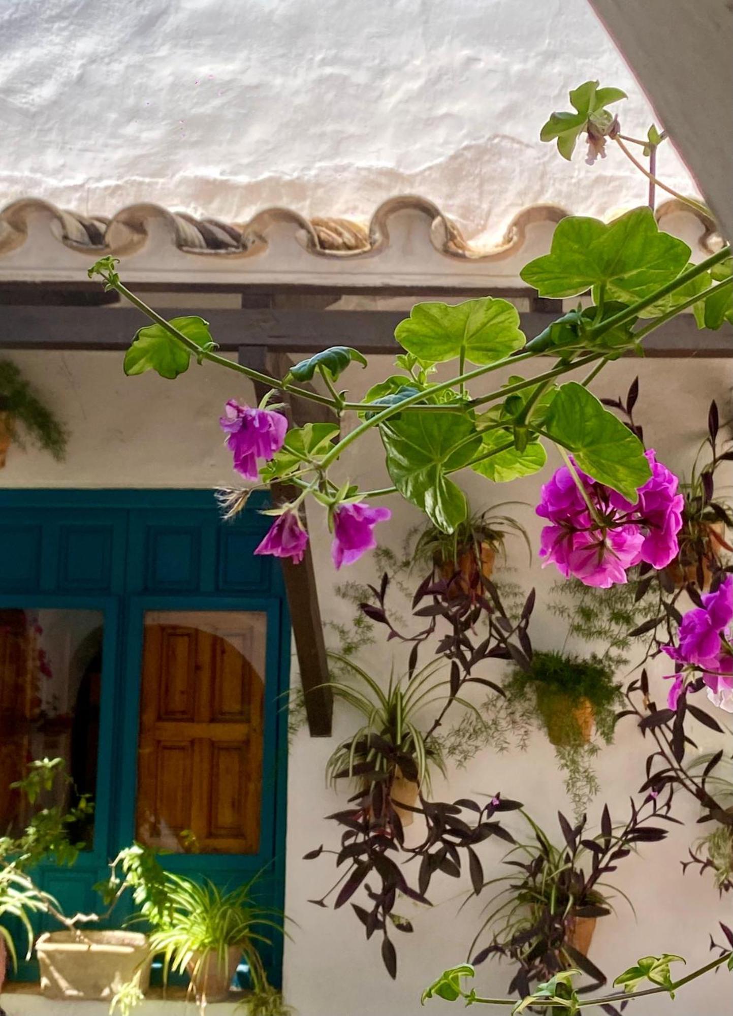 La Buganvilla De Santiago Córdoba Exterior foto