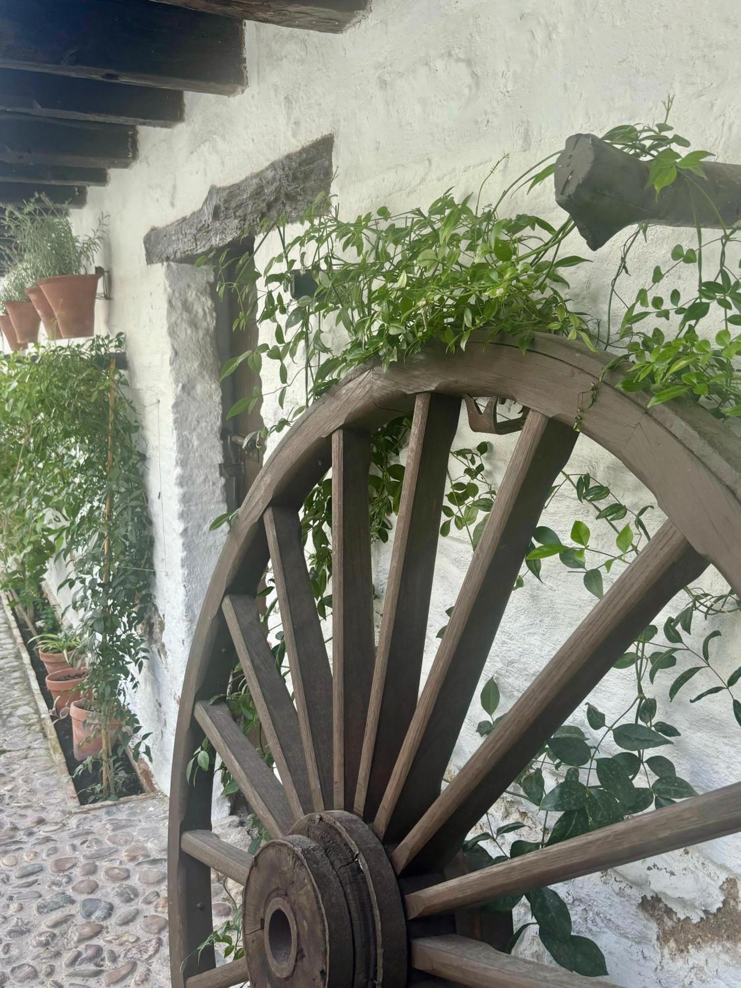 La Buganvilla De Santiago Córdoba Exterior foto