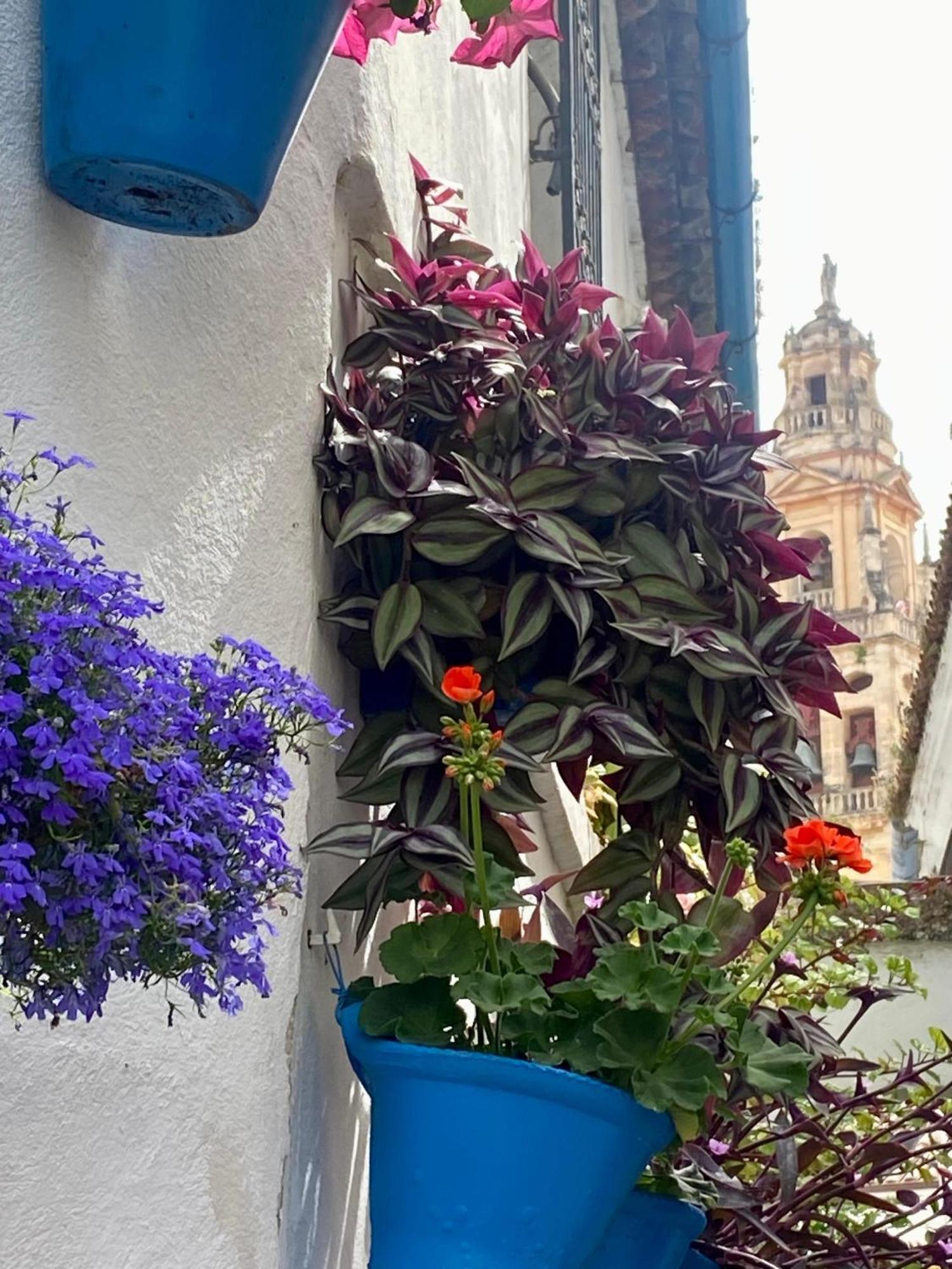 La Buganvilla De Santiago Córdoba Exterior foto