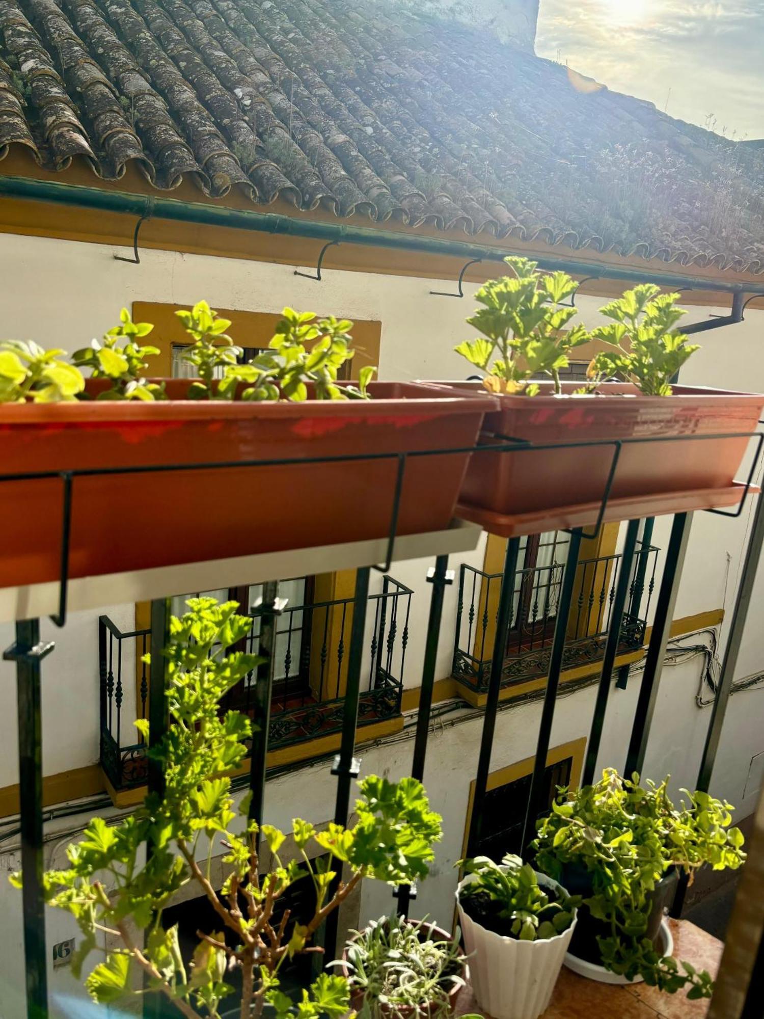 La Buganvilla De Santiago Córdoba Exterior foto